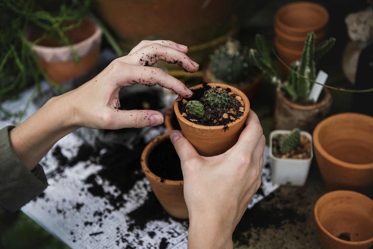 Manfaat Berkebun di Rumah untuk Kesehatan Fisik dan Mental