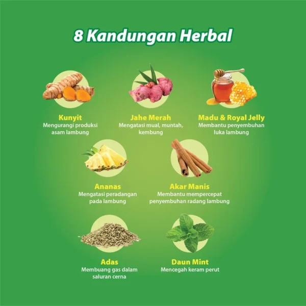 Promag Obat Herbal Untuk Gangguan Lambung Box @ 6 Sachet - Image 2