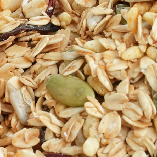 Safiya Muesli Berry Yogurt 500 Gram Sereal With Almond Premium - Image 9